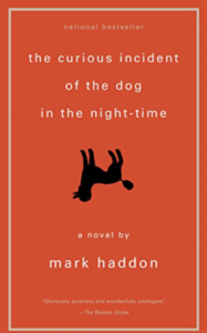 Curious-Incident-of-a-Dog-in-the-Nighttime-film-comparison