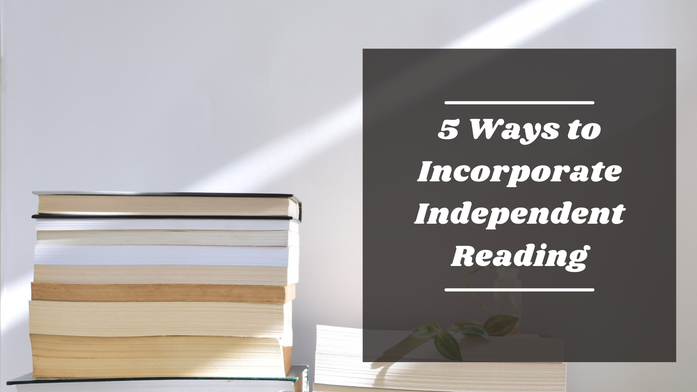 5 Ways to Incorporate Independent Reading in Your Class