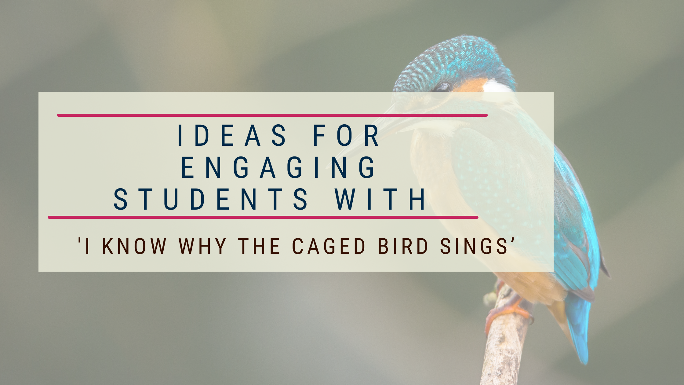 Ideas for Engaging Students with ‘I Know Why the Caged Bird Sings’